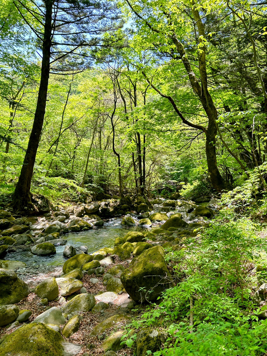 日光・中禅寺湖で過ごす休日｜湖畔の静かな時間