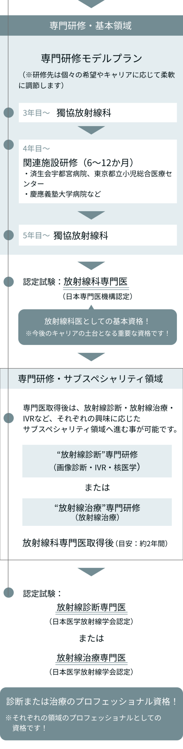 放射線科医キャリアの流れ