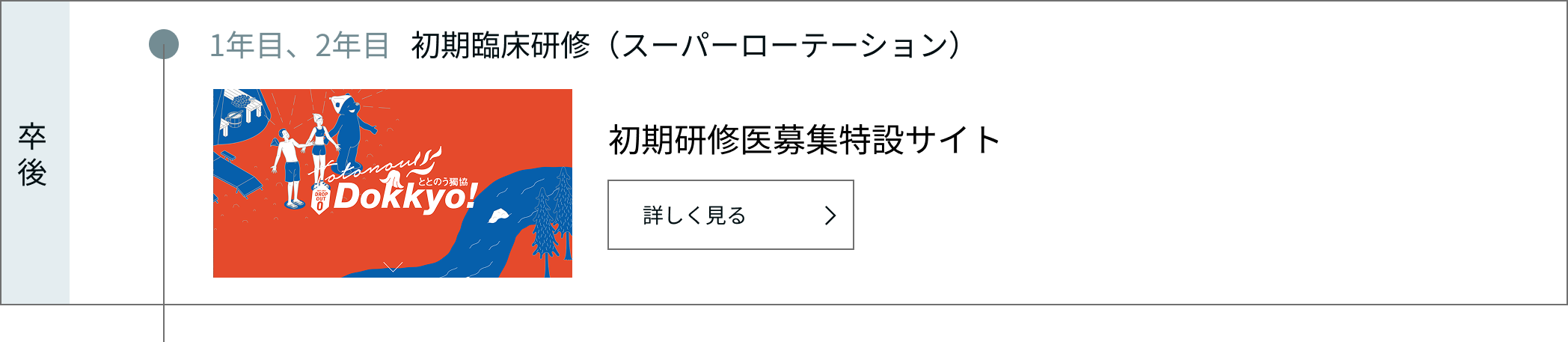 放射線科医キャリアの流れ