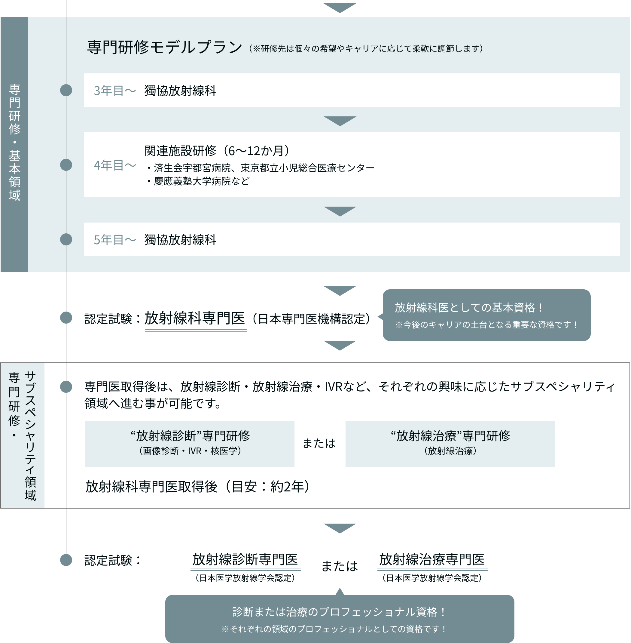 放射線科医キャリアの流れ