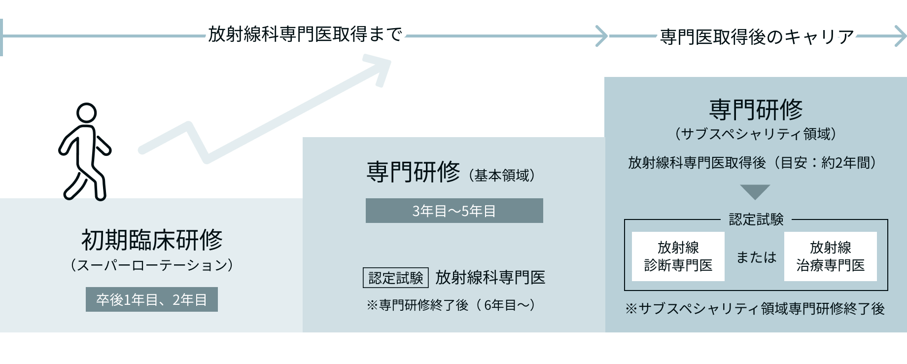 放射線科医キャリアイメージ